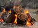Large bonfire with logs burning. A potential fire hazard, safety should be a top priority at 24605 Ne 177Th Ter, Fort Mc Coy, FL 32134