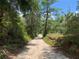Secluded dirt road through the trees at 24605 Ne 177Th Ter, Fort Mc Coy, FL 32134