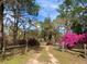 Scenic driveway framed by trees and vibrant flowering bushes at 24605 Ne 177Th Ter, Fort Mc Coy, FL 32134