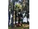 Bench at the lake's edge, surrounded by trees draped with Spanish moss at 24605 Ne 177Th Ter, Fort Mc Coy, FL 32134