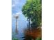 Beautiful lake with a palm tree at the shoreline at 24605 Ne 177Th Ter, Fort Mc Coy, FL 32134