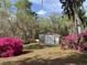 Metal outbuilding with roll-up door surrounded by flowering bushes and trees at 24605 Ne 177Th Ter, Fort Mc Coy, FL 32134