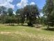 Lush landscape with mature trees, providing a serene and natural backdrop for outdoor enjoyment at 24605 Ne 177Th Ter, Fort Mc Coy, FL 32134
