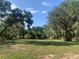 A grassy and wooded area on the property at 24605 Ne 177Th Ter, Fort Mc Coy, FL 32134
