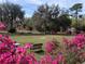 Beautiful landscaped yard with mature trees and colorful azaleas, perfect for outdoor enjoyment at 24605 Ne 177Th Ter, Fort Mc Coy, FL 32134