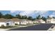 Charming single-Gathering homes showcasing diverse architectural styles with well-manicured lawns and attached garages at 263 Puma Loop, Groveland, FL 34736