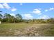 Expansive backyard featuring a mix of lush greenery, small palm trees, and a clear blue sky with scattered clouds at 113 Grand Reserve Ct, Davenport, FL 33837