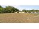 Areal view of the backyard at 2453 Teri St, Auburndale, FL 33823