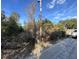 Lush land featuring various trees and bushes alongside a gravel road with a truck in the background at 0 Se 141St Pl, Umatilla, FL 32784