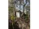Run down metal shed among dense foliage and trees with overgrown yard at 0 Se 141St Pl, Umatilla, FL 32784