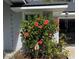 Charming home featuring a vibrant red hibiscus bush in the front yard at 858 Lafayette Ln, Lakeland, FL 33805