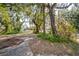 Large backyard with mature trees and a mix of foliage, perfect for enjoying nature at 9401 Cat Track Trl, Lake Wales, FL 33898