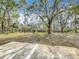 Large backyard with lush trees and a view of the neighborhood lake at 3322 Heather Glynn Dr, Mulberry, FL 33860