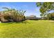 Picture of a spacious backyard showcasing lush greenery and mature banana trees at 11321 Ledgement Ln, Windermere, FL 34786