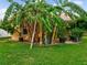 Tropical backyard featuring multiple banana trees with lush foliage, offering a serene and private outdoor space at 11321 Ledgement Ln, Windermere, FL 34786