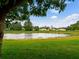 Picturesque pond view framed by lush greenery, offering a peaceful and serene landscape at 11321 Ledgement Ln, Windermere, FL 34786