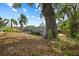 Backyard view features a pool and ample space, shaded by mature trees against a bright blue sky at 12 Lake Link Dr, Winter Haven, FL 33884