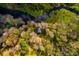 Secluded cabin enveloped by lush, verdant woods alongside a winding creek at 4942 Cr 300, Lake Panasoffkee, FL 33538