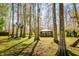Secluded cabin nestled in a serene forest setting with tall trees at 4942 Cr 300, Lake Panasoffkee, FL 33538