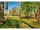 Spacious front yard with mature trees providing ample shade for the home at 4942 Cr 300, Lake Panasoffkee, FL 33538