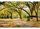Picturesque park area featuring walking path and covered picnic area at 4942 Cr 300, Lake Panasoffkee, FL 33538