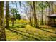 Scenic view of the pond surrounded by lush greenery and trees at 4942 Cr 300, Lake Panasoffkee, FL 33538
