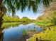 Beautiful pond framed by lush greenery, creating a serene and inviting scene at 4942 Cr 300, Lake Panasoffkee, FL 33538