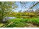 Greenery abounds at the water's edge, creating a picturesque view of the pond at 4942 Cr 300, Lake Panasoffkee, FL 33538