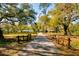 Expansive property featuring a long driveway, mature trees, and a fenced pasture at 4942 Cr 300, Lake Panasoffkee, FL 33538