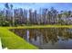 Scenic view of a serene pond reflecting the surrounding trees and sky, enhancing the property's natural beauty at 2244 Teneroc Trl, Lakeland, FL 33805