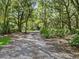 Scenic gravel driveway lined with trees and foliage leading to a private and inviting property at 4845 Sw 78Th Ave, Bushnell, FL 33513