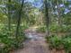 Scenic lot with mature trees providing shade and privacy at 4845 Sw 78Th Ave, Bushnell, FL 33513