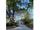 Charming home exterior featuring a driveway and well-maintained landscaping at 1135 Linkside Ct, Apopka, FL 32712