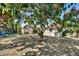 Backyard showcasing mature tree and room to entertain guests at 2421 Cypress Ln, Lakeland, FL 33801