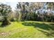 A large, grassy backyard featuring mature trees, including palms and Spanish moss-draped oaks at 9415 Cat Track Trl, Lake Wales, FL 33898
