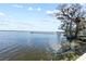 Scenic lake view featuring a long wooden pier and lush trees under a partly cloudy sky at 830 County Rd 457, Lake Panasoffkee, FL 33538