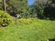 Backyard with overgrown lawn, mature trees and unkempt vegetation at 1122 E Edgewood Dr, Lakeland, FL 33803