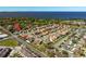 Aerial view of the neighborhood with lush landscaping and a blue lake in the distance at 108 Stanton Estates Cir, Winter Garden, FL 34787