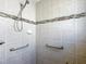 Close-up of tiled walk-in shower with grab bars and a hand-held shower head at 2518 Foxbridge Ter, The Villages, FL 32162