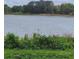 Scenic lake view with lush green grass and natural vegetation in the foreground at 115 Black Skimmer Ln, Winter Haven, FL 33880