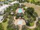 Aerial view of the community pool area, surrounded by palm trees and well-manicured landscaping at 1529 Euston Dr, Reunion, FL 34747