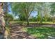 Lush backyard featuring manicured lawn, mature trees, and well-maintained landscaping at 7636 Heritage Crossing Way, Reunion, FL 34747