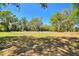 A picturesque vacant lot surrounded by lush greenery under a clear blue sky at 4609 Creek Meadow Trl, Lakeland, FL 33810