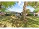 Well-maintained exterior view showing a home with a large tree in the front yard at 1508 Leighton Ave, Lakeland, FL 33803