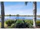 Scenic backyard view featuring tranquil lake, palm trees, and decorative heron statues at 252 Bayou Bend Rd, Groveland, FL 34736