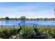 Scenic lake view framed by lush greenery and heron statues at 252 Bayou Bend Rd, Groveland, FL 34736