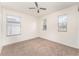 Bedroom featuring neutral carpet, a ceiling fan, and three bright windows at 265 Elderberry Dr, Davenport, FL 33897