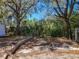 Backyard featuring mature trees, a concrete patio, and a shed among natural landscaping at 218 W Magnolia St, Clermont, FL 34711