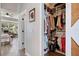 Walk-in closet offering ample storage and organization, conveniently located near the main bedroom and bathroom at 32421 Wolfs Trl, Sorrento, FL 32776