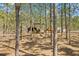 Several horses graze in the shade of a treed enclosure on this horse property at 4305 Hamilton Rd, Lakeland, FL 33811